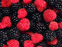Berries