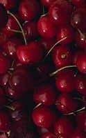 Cherries