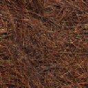 Really Dry Grass