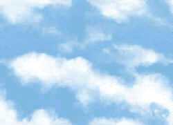 Cloudy Day