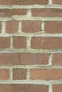 Wallness
