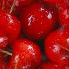 Cherries