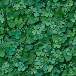 Micro Leaves