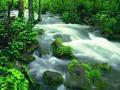 River