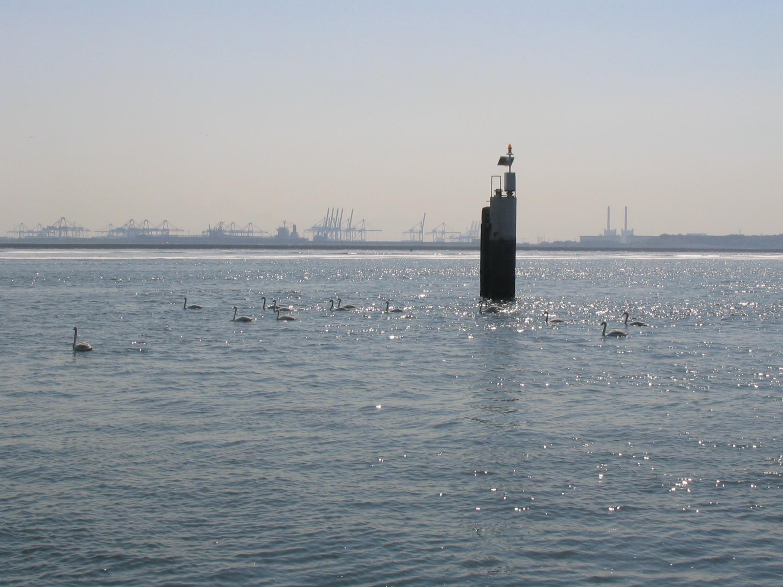 Hoek van Holland