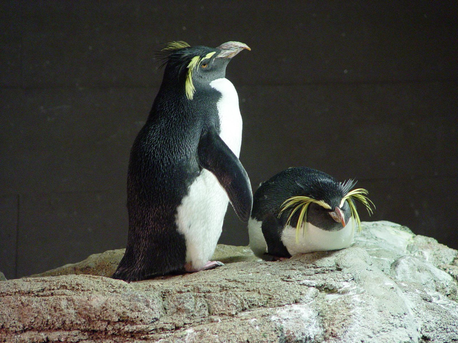 Boston Aquarium