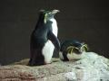 Boston Aquarium
