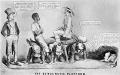 Caricature of Democratic platform