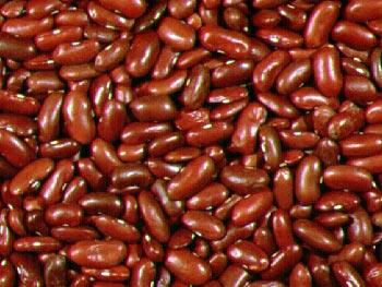 small beans
