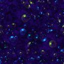 stars in space