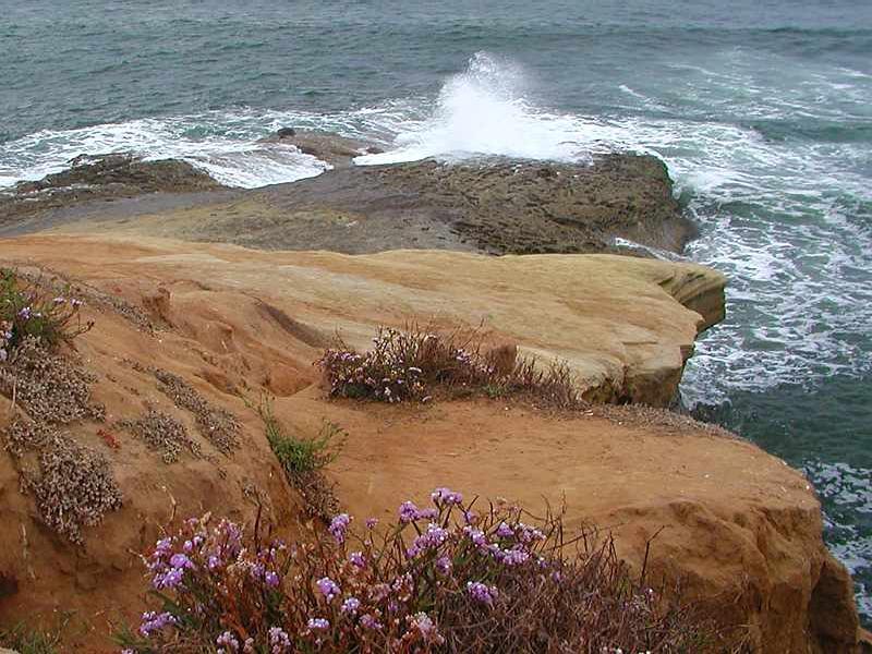 Shore