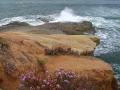 Shore