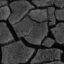 Dried rock