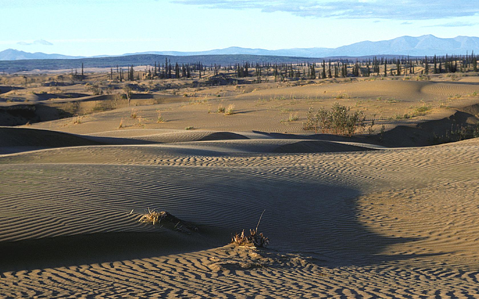 Nogahabara Sand Dunes
