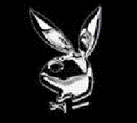 CHROME BUNNY