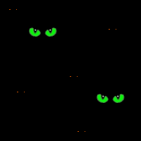 Eyes in the dark