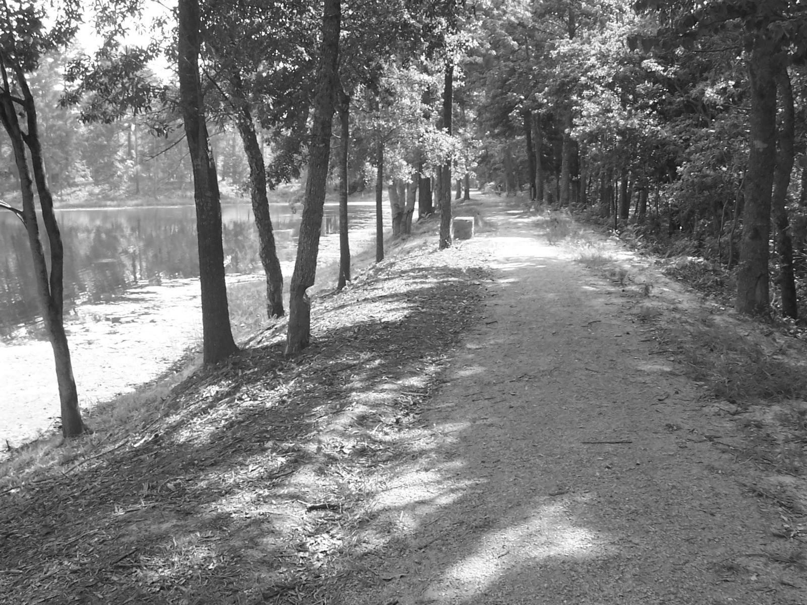 Secret Lake Path