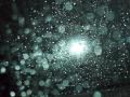 Rain Drops