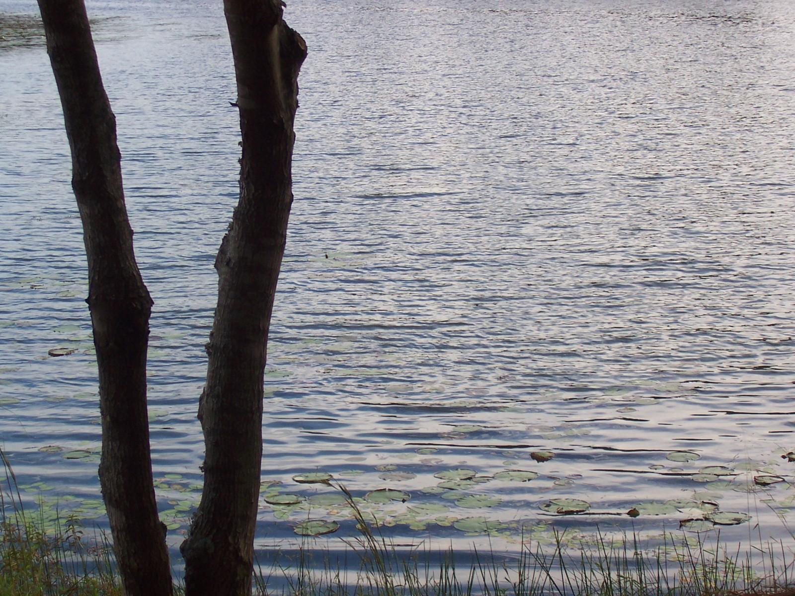 The Secret Lake