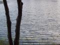 The Secret Lake