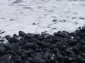 Road to Hana