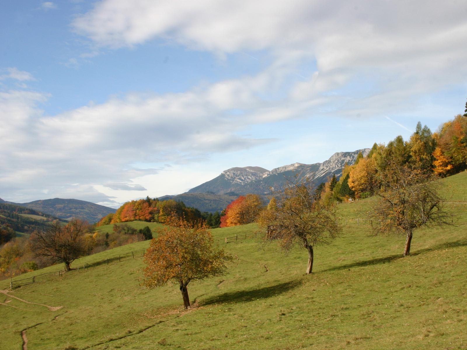 Autumn