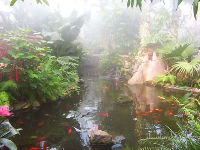 pond at the Butterfly Garden, BC