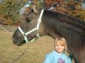 My horse Blue