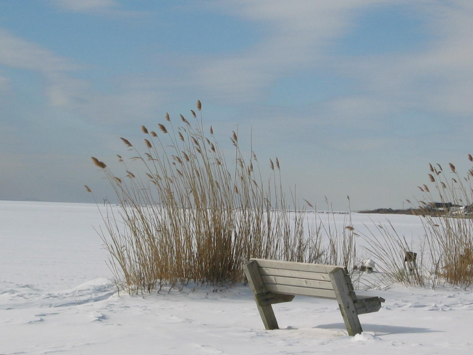 bayport