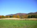 Field with Mountains