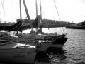 Sailing Boats