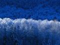 nature images