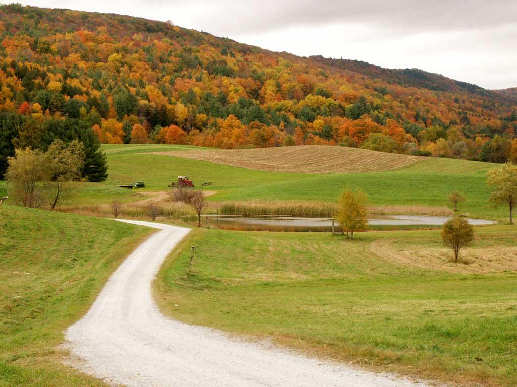 Landscape with road