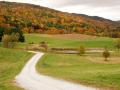 Landscape with road