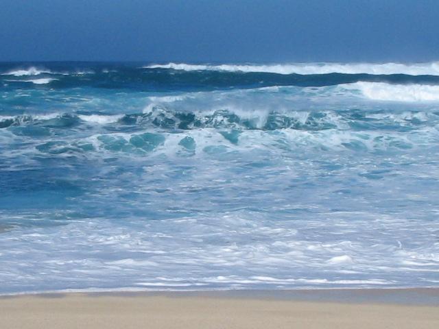 beach in oahu