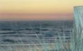 Salmon Creek Sunset