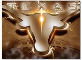 Texas LongHorns