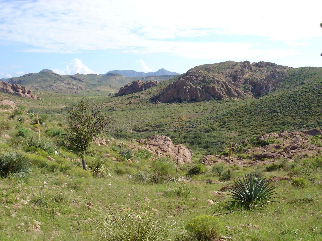 Mud Springs