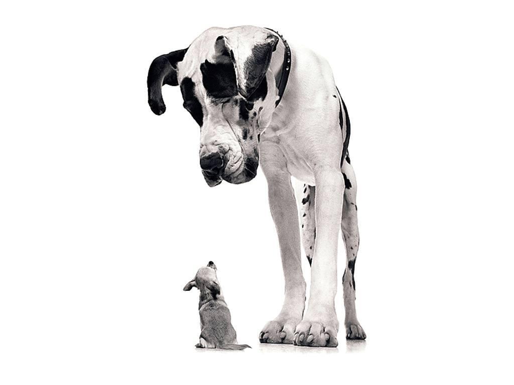 Little and Big