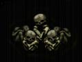 skulls