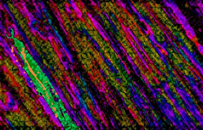 rainbow vein