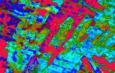 background: RAINBOWS VEIN