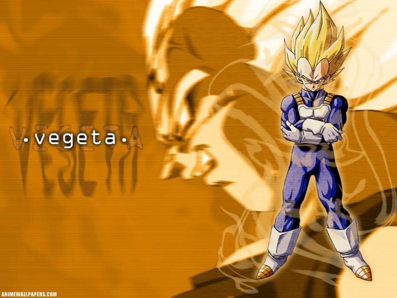 Vegita Background