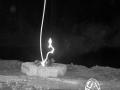 Natural Fire-Starter