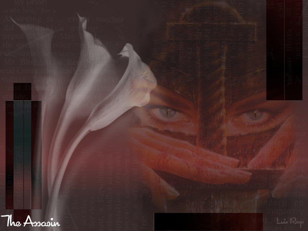 The Assassin