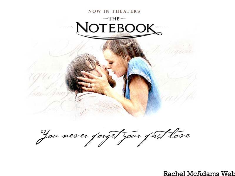 the notebook