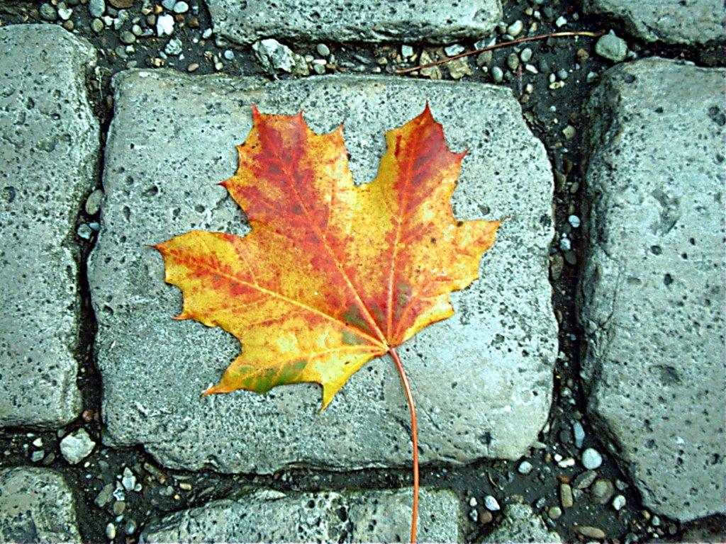 leave with stone