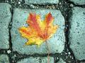 leave with stone