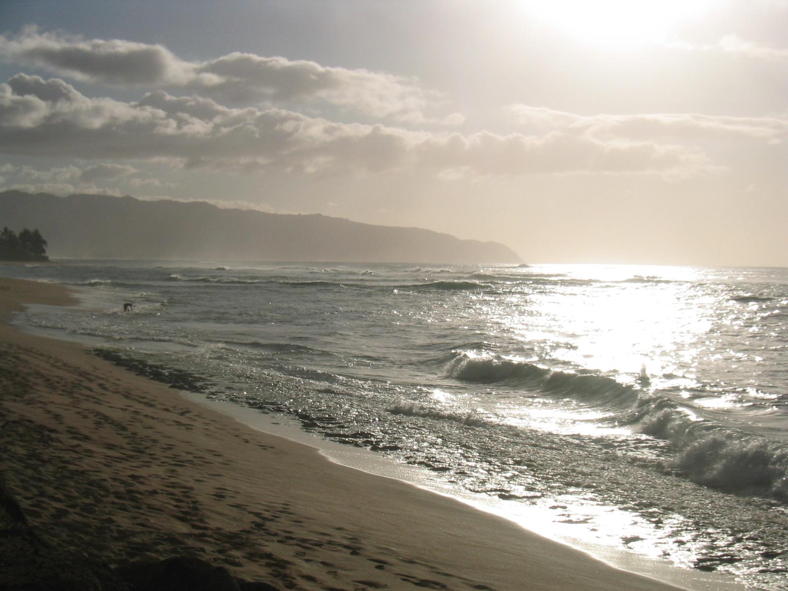 North Shore Oahu