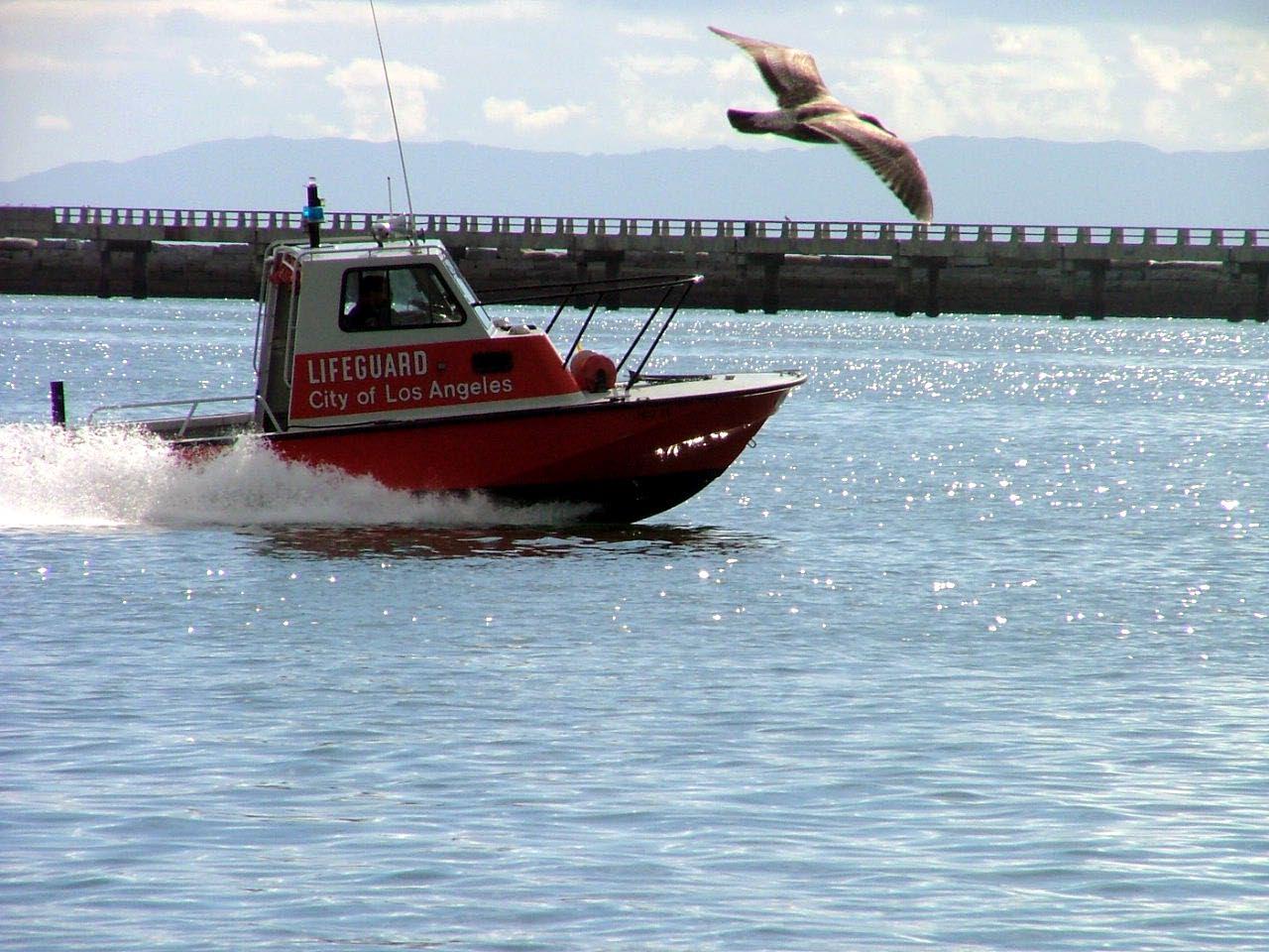 Coast Gaurd racer